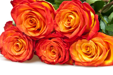 Similar image 284168