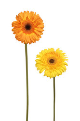 Similar image 284171