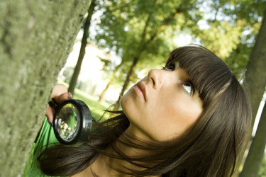 Similar image 284180