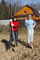 Similar image 284186