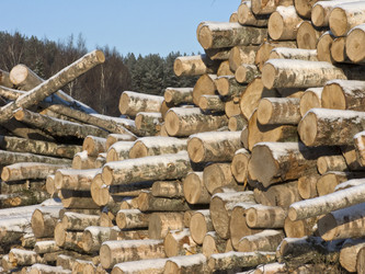 Similar image 284211