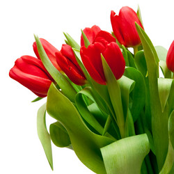 Similar image 284233