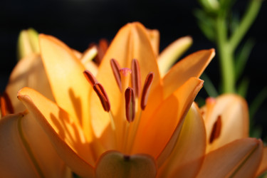 Similar image 284238