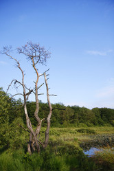 Similar image 284254