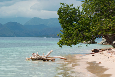 Similar image 284267