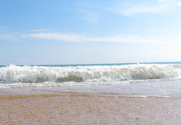 Similar image 284311