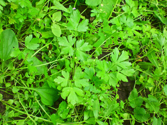 Similar image 284365