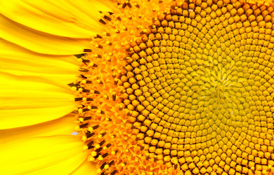 Similar image 284415