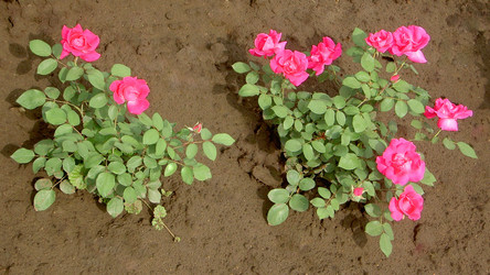 Similar image 284423