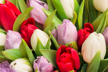 Similar image 284428