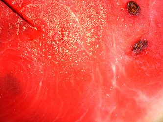 Similar image 284444