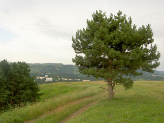 Similar image 284471