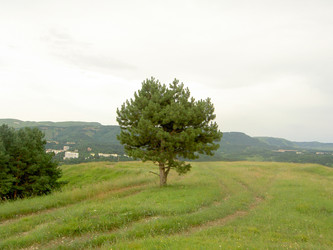 Similar image 284475