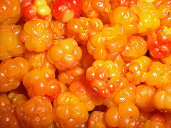 Similar image 284503