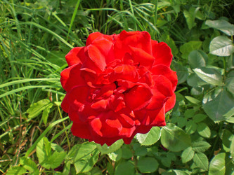 Similar image 284504