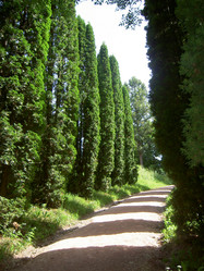 Similar image 284522