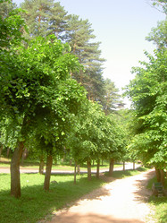 Similar image 284523