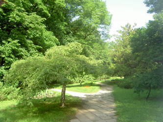 Similar image 284524