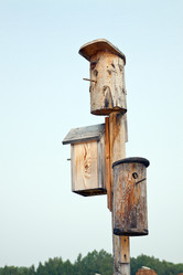 Similar image 284561