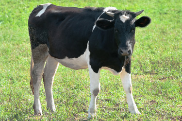 Similar image 284607