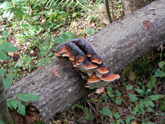 Similar image 284610