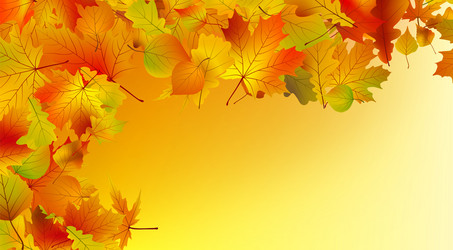 Similar image 284662