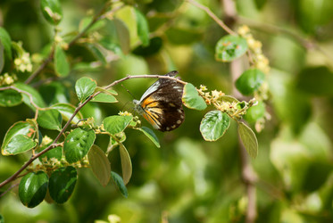 Similar image 284665