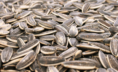 Similar image 284679