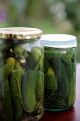 Similar image 284683