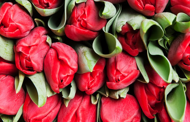 Similar image 284688