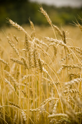 Similar image 284694