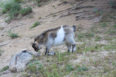 Similar image 284708