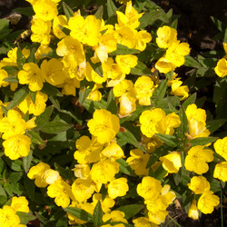 Similar image 284731