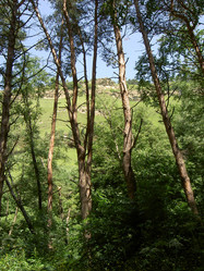 Similar image 284732