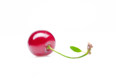 Similar image 284738