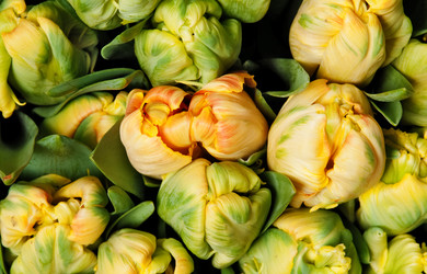 Similar image 284780