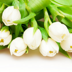 Similar image 284805