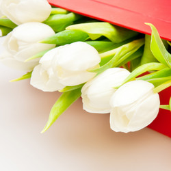 Similar image 284806