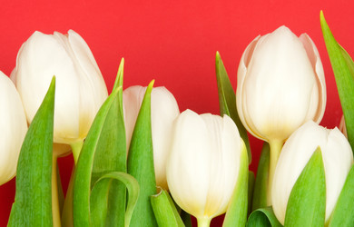 Similar image 284807