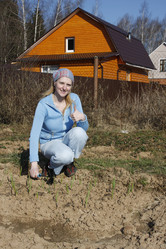 Similar image 284833