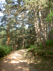 Similar image 284835