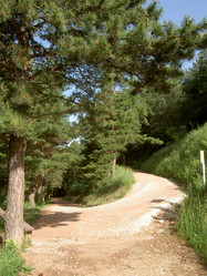 Similar image 284837