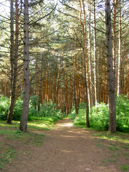 Similar image 284843