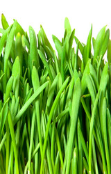 Similar image 284845