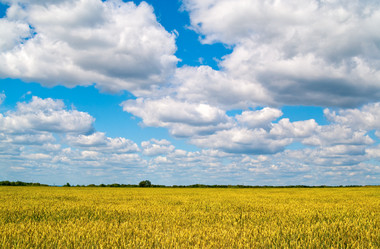 Similar image 284859