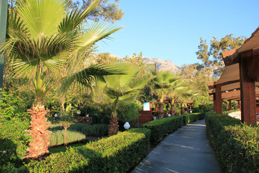 Similar image 284871