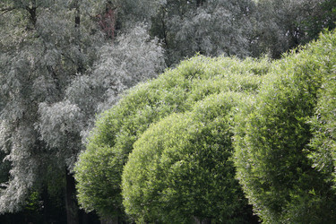 Similar image 284874