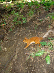 Similar image 284892