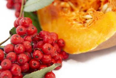 Similar image 284955