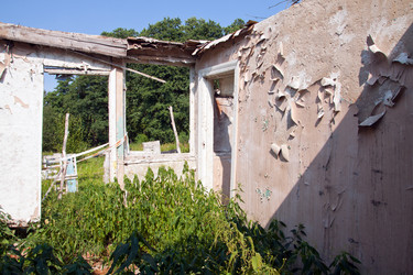 Similar image 284993